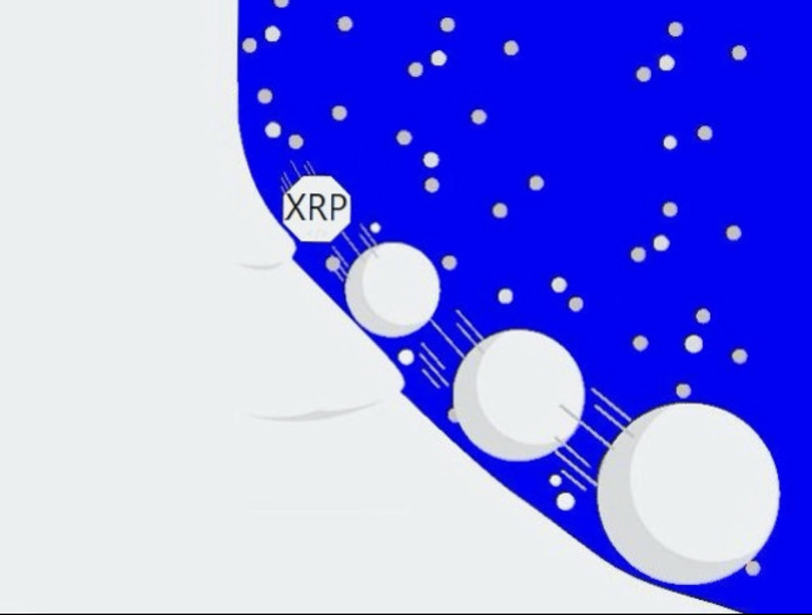 Lord XRP tweet media
