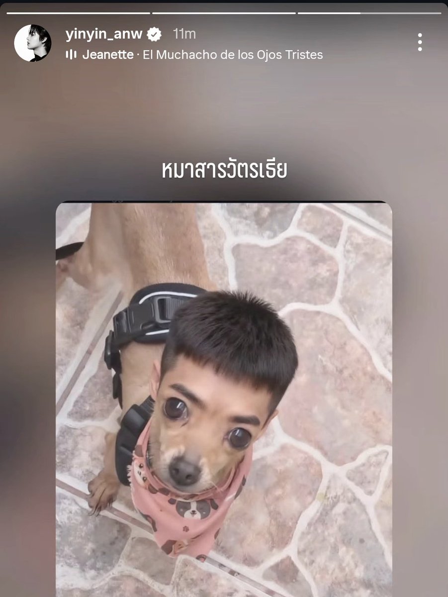 𝐘𝐔 𝐘𝐈𝐏𝐏𝐄𝐄 tweet media