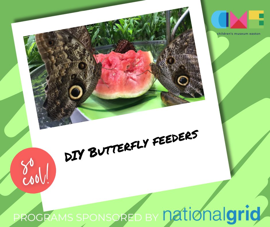 CMEaston's tweet photo. Here's a super-simple activity for Earth Week to get ready for a butterfly-filled summer! Head to our Facebook page for the details!

Thanks to our STEAM sponsor, @nationalgridus, for supporting Children's Museum Easton's STEAM programming! https://t.co/CDug4klBfh