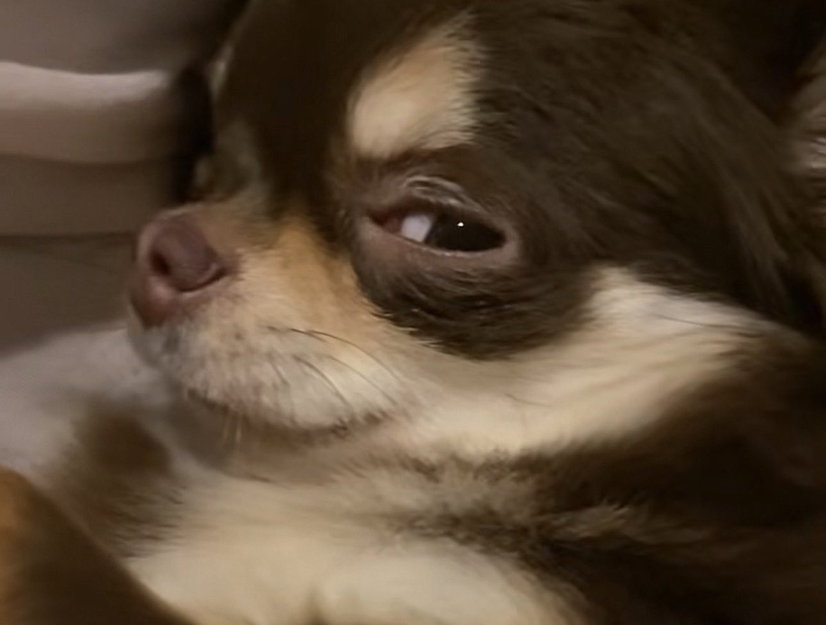 ม๊าว ‎˖Ი𐑼⋆ tweet media