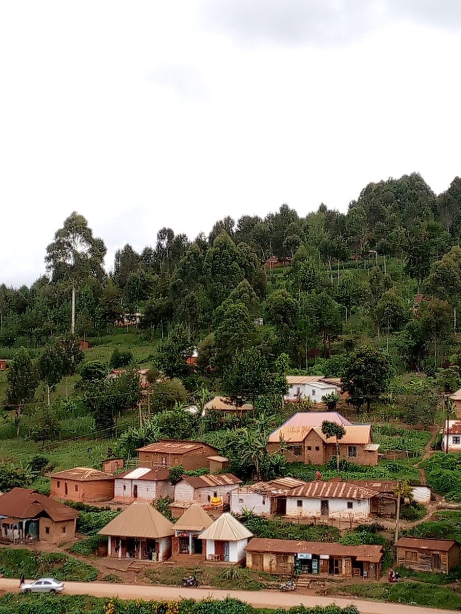 killo_Killotz tweet media