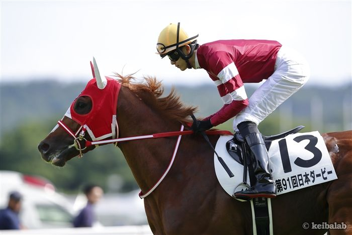 競馬ラボ tweet media