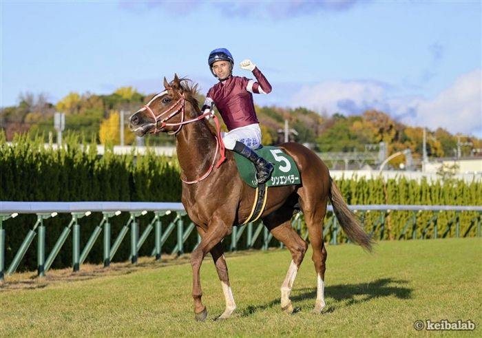 競馬ラボ tweet media