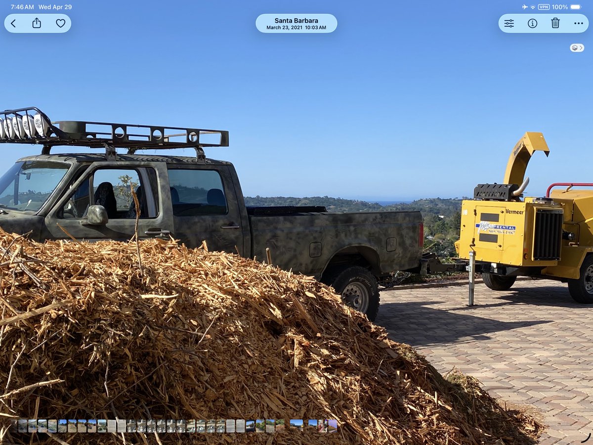 ToniaAllenGould's tweet image. Mulch, turns out, was the perfect ground cover, but what #LIHES beneath? #permaculture #SantaBarbara