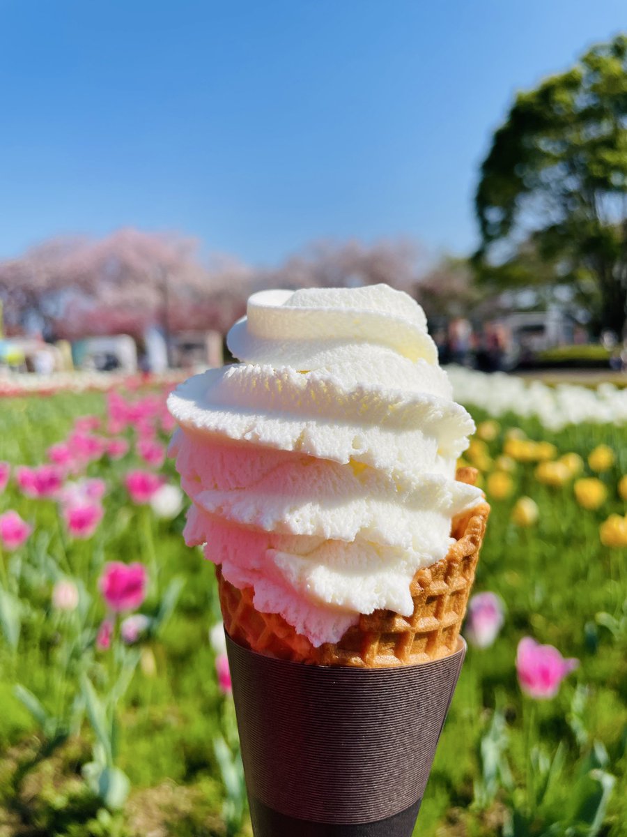 #秦野戸川公園 風の吊り橋
