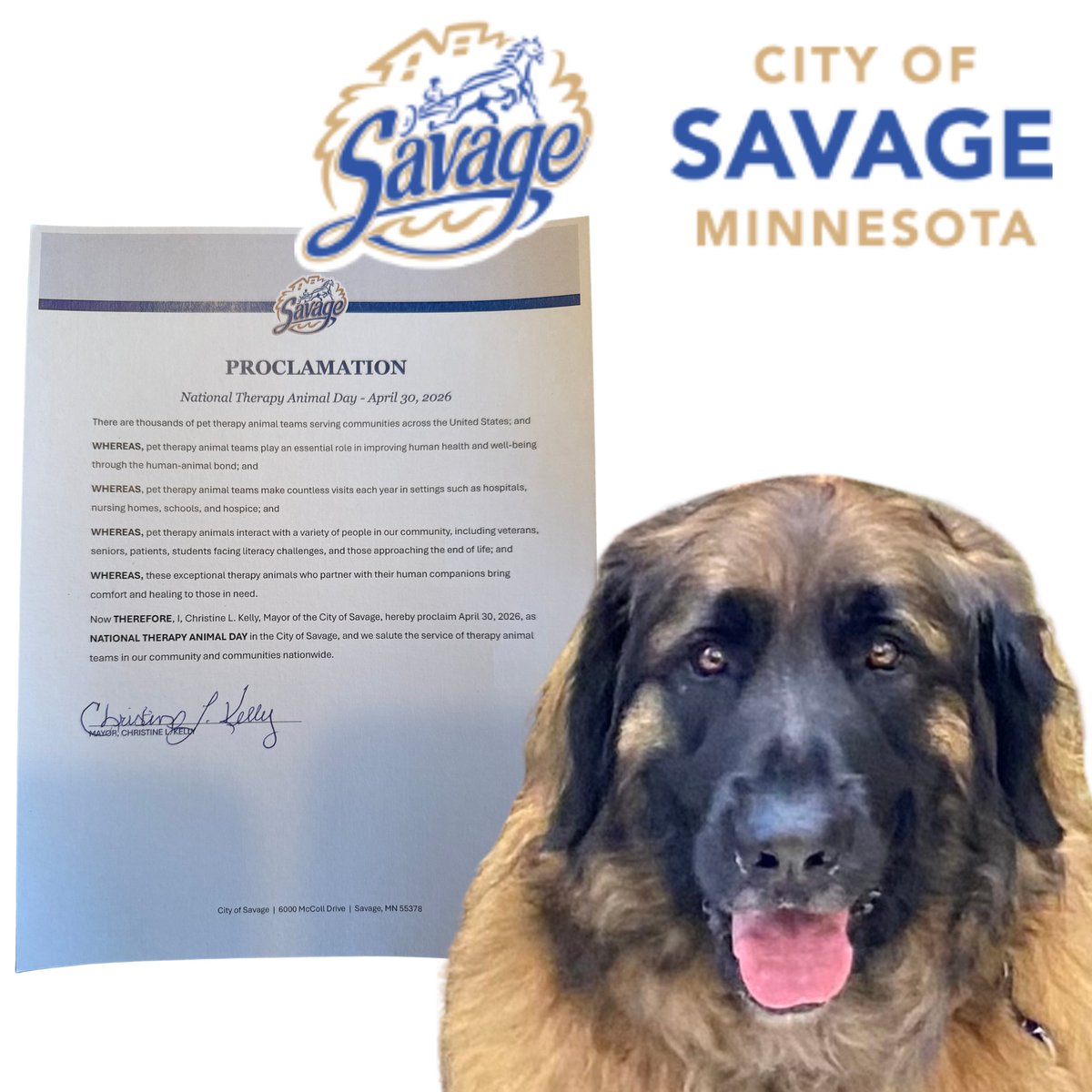 nstamn's tweet photo. Who could say 'no' to Oslo?  Thank you #cityofsavagemn for declaring April 30 as #NationalTherapyAnimalDay.  Oslo will spread the word tomorrow at #mallofamerica https://t.co/tYkc9FBBHQ