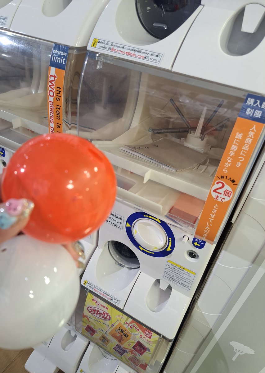 🦦みみちゃん🐰 tweet media