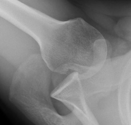 Radiology Masterclass tweet media