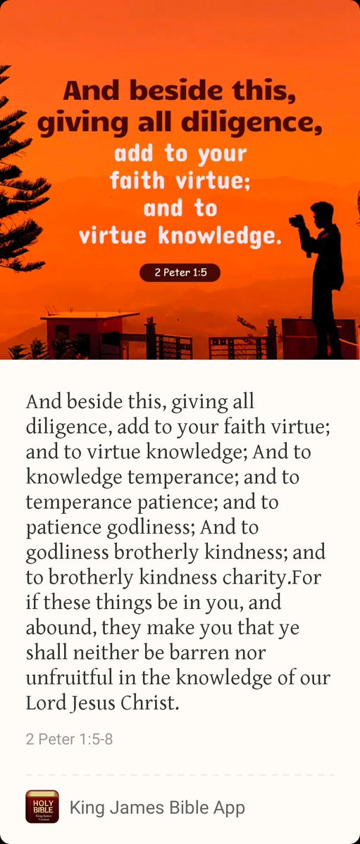 D.C. Dad_Defiant!🇺🇸🇮🇱 tweet media