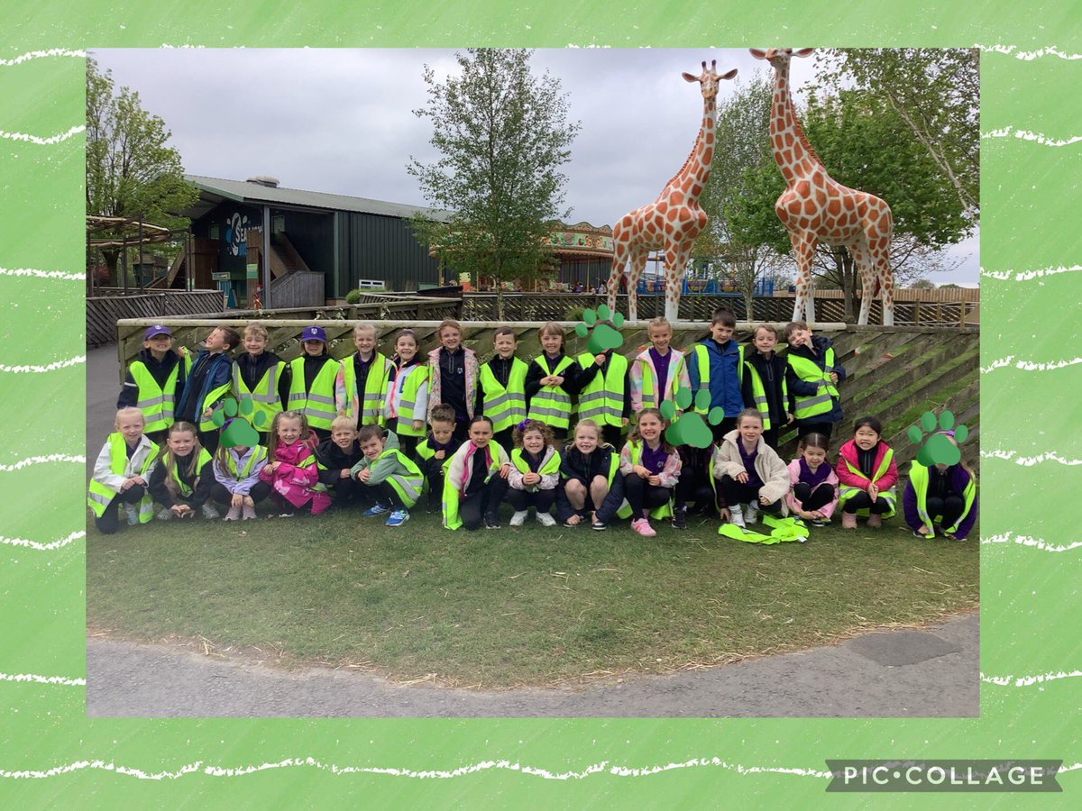 SPBYear1's tweet photo. The SPB Year 1 Trip to @KnowsleySafari 🦒🦏🐫🐾 https://t.co/ViYlpO329s