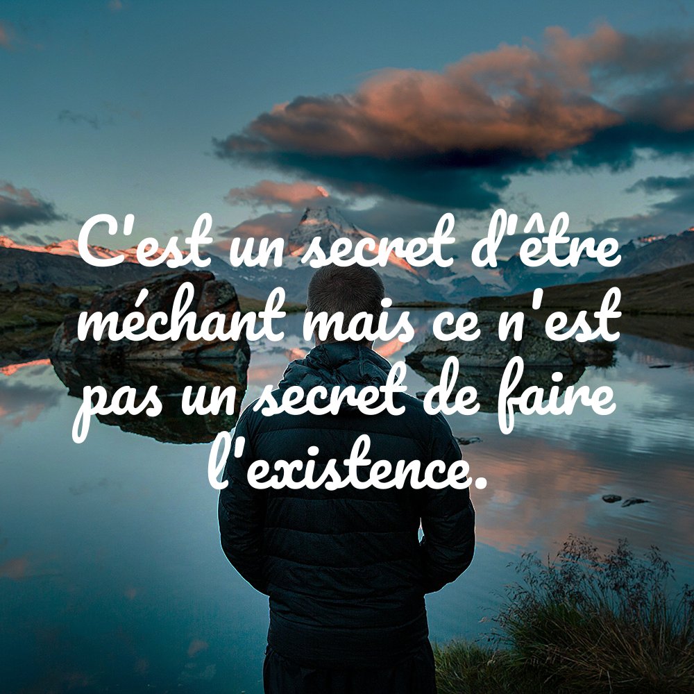 Proverbot 🌚 tweet media