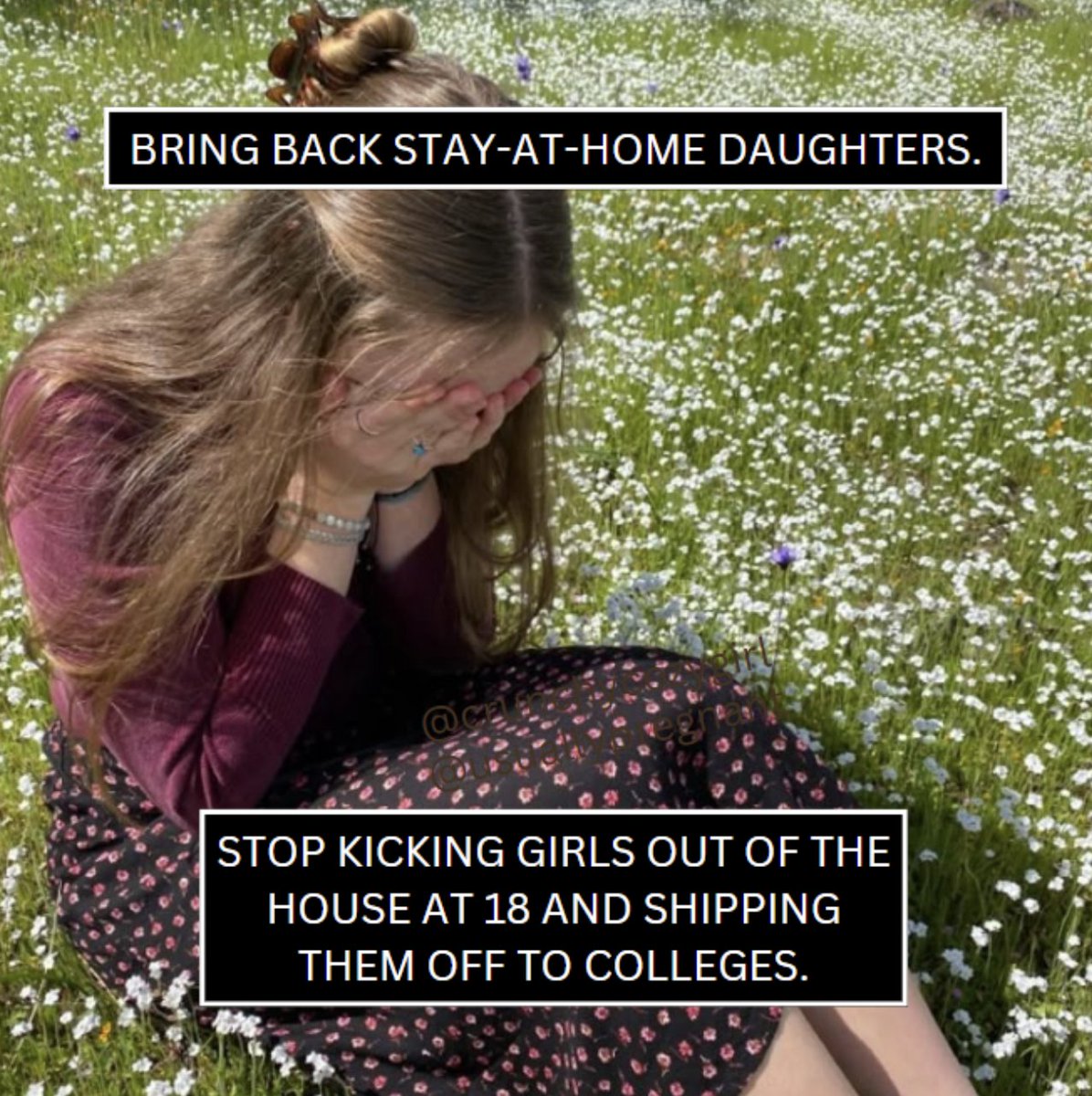 Barefoot Pregnant tweet media