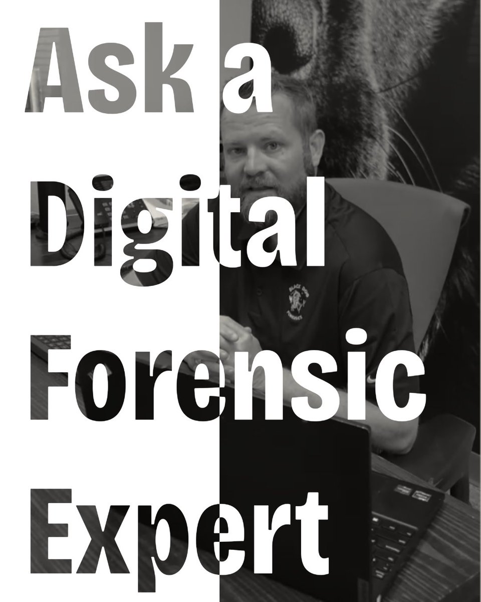 Black Dog Forensics tweet media