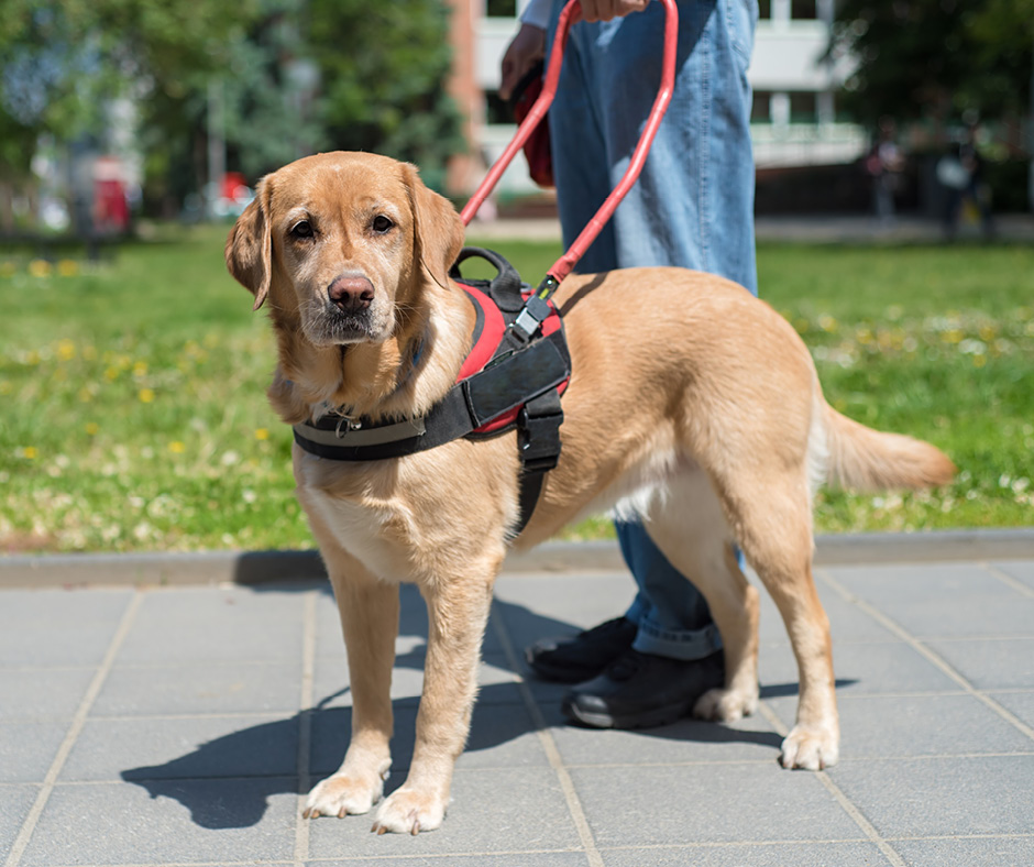 Choose Work - SSA tweet media