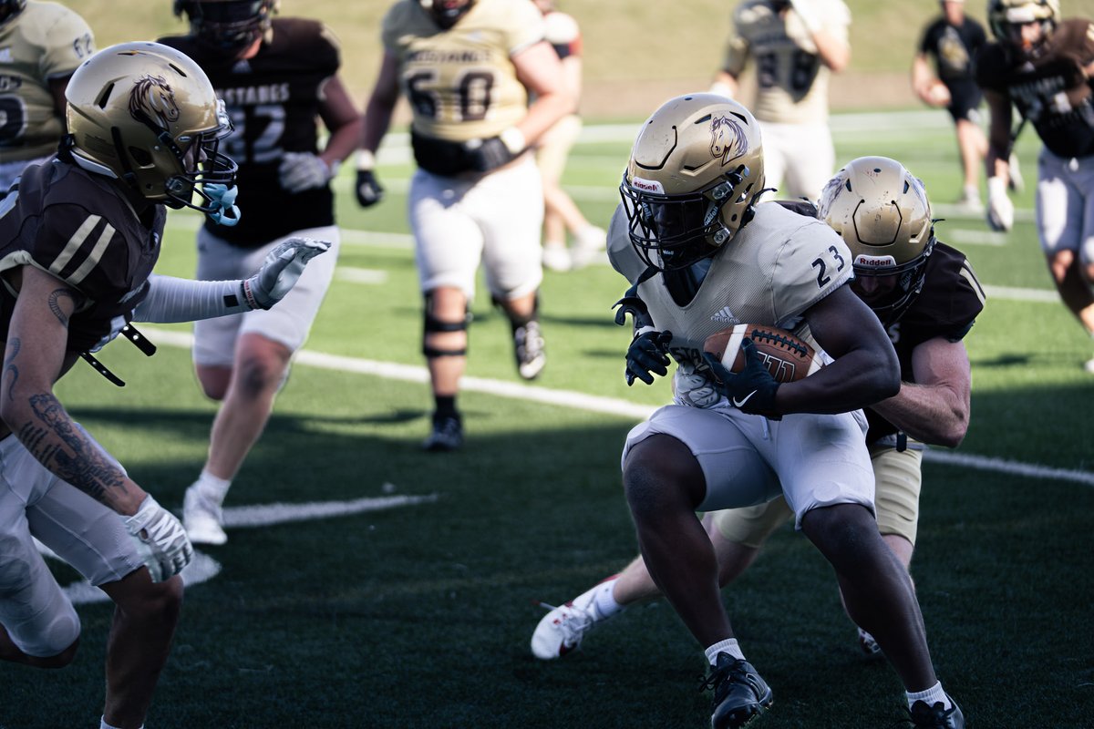 SMSU Football (@SMSUfootball) / Posts / X