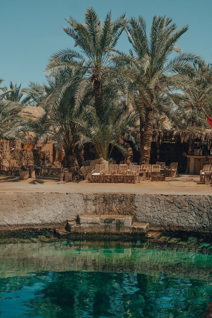 MozartCultures's tweet photo. a day in siwa, egypt https://t.co/kEqSbGgMzF