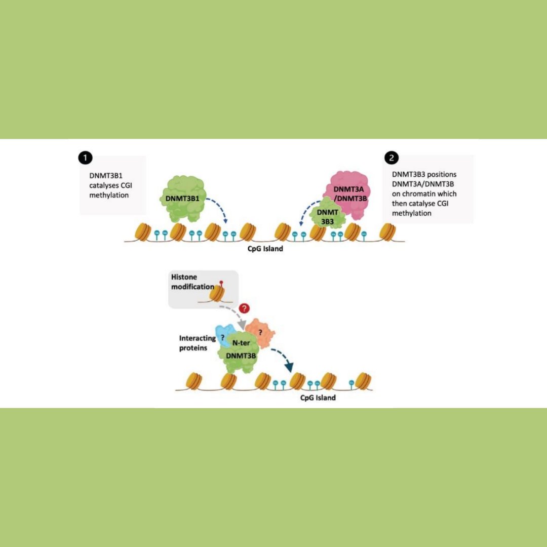 Genes & Development tweet media