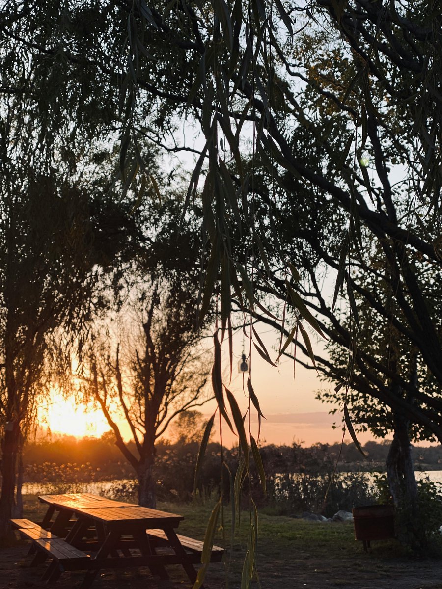 grand_camping's tweet image. Wake up to birds instead of alarms—camping hits different: 

grandcampingstore.com 

#CampingLife #OutdoorAdventure #NatureEscape #CampVibes #ExploreMore #StayWild #WanderOften #IntoTheWild #AdventureAwaits #GetOutside