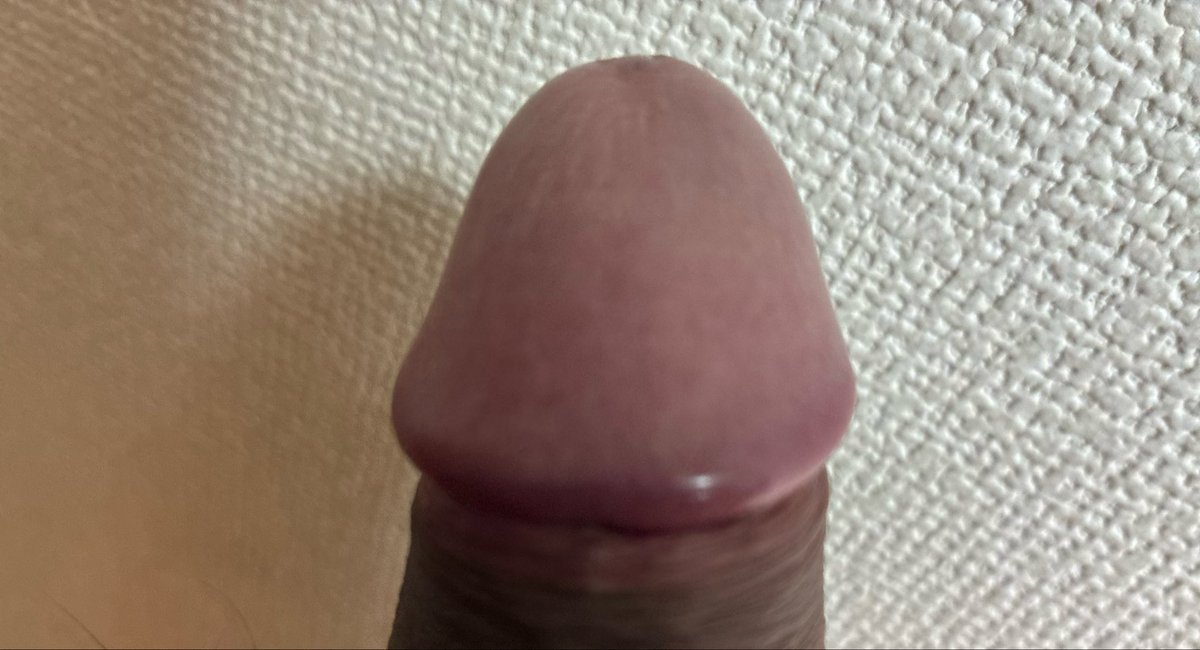 sakura124275's tweet photo. 今���もおちんちんです！
沢山舐めあいたい…♡ 
 #男の娘 #女装 https://t.co/3yxjlxaDV3