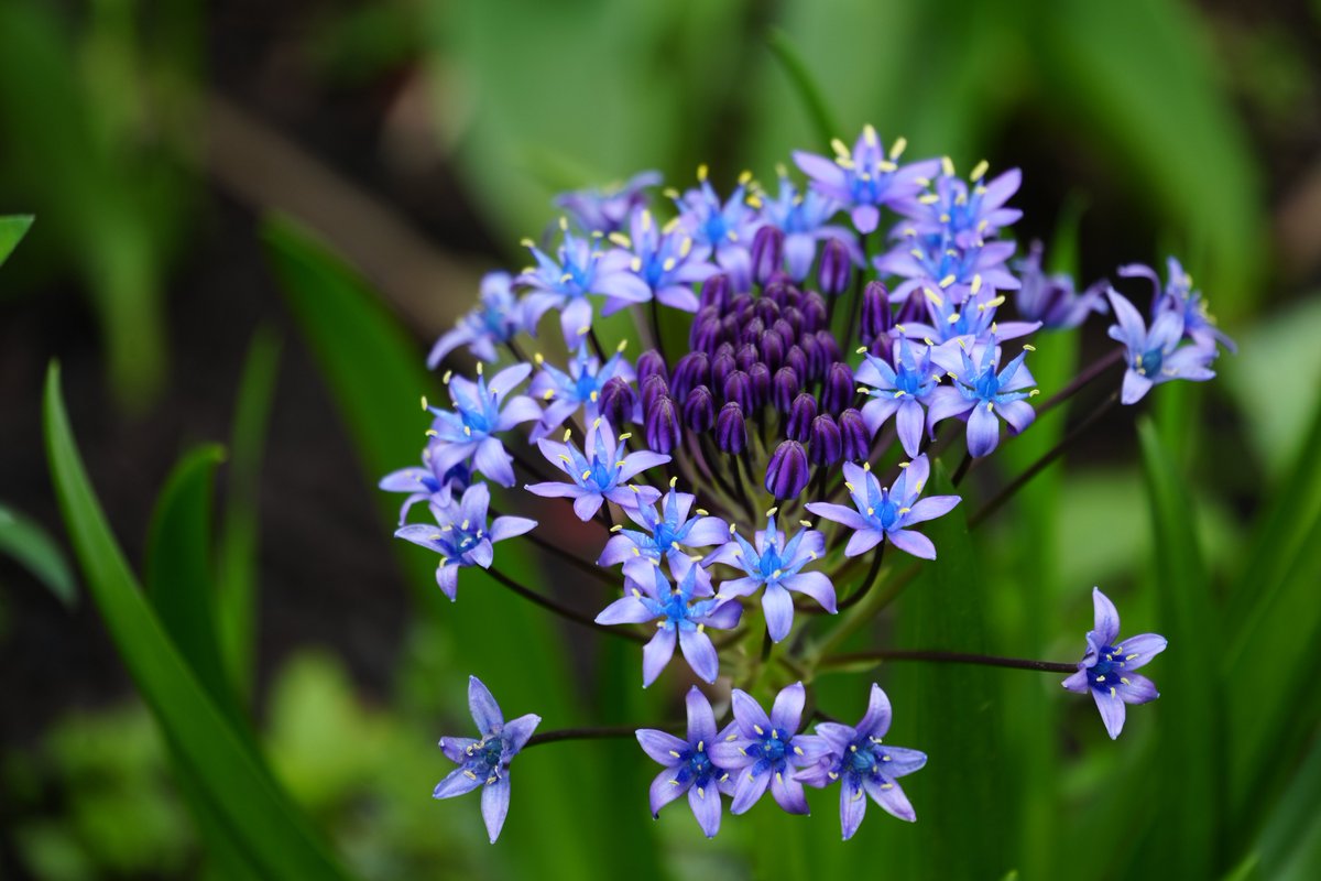 まみもこ tweet media