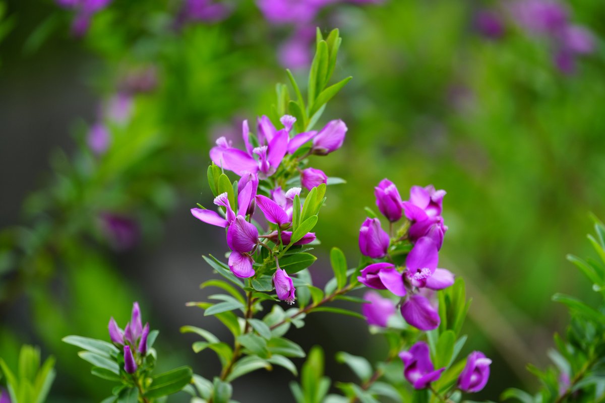 まみもこ tweet media