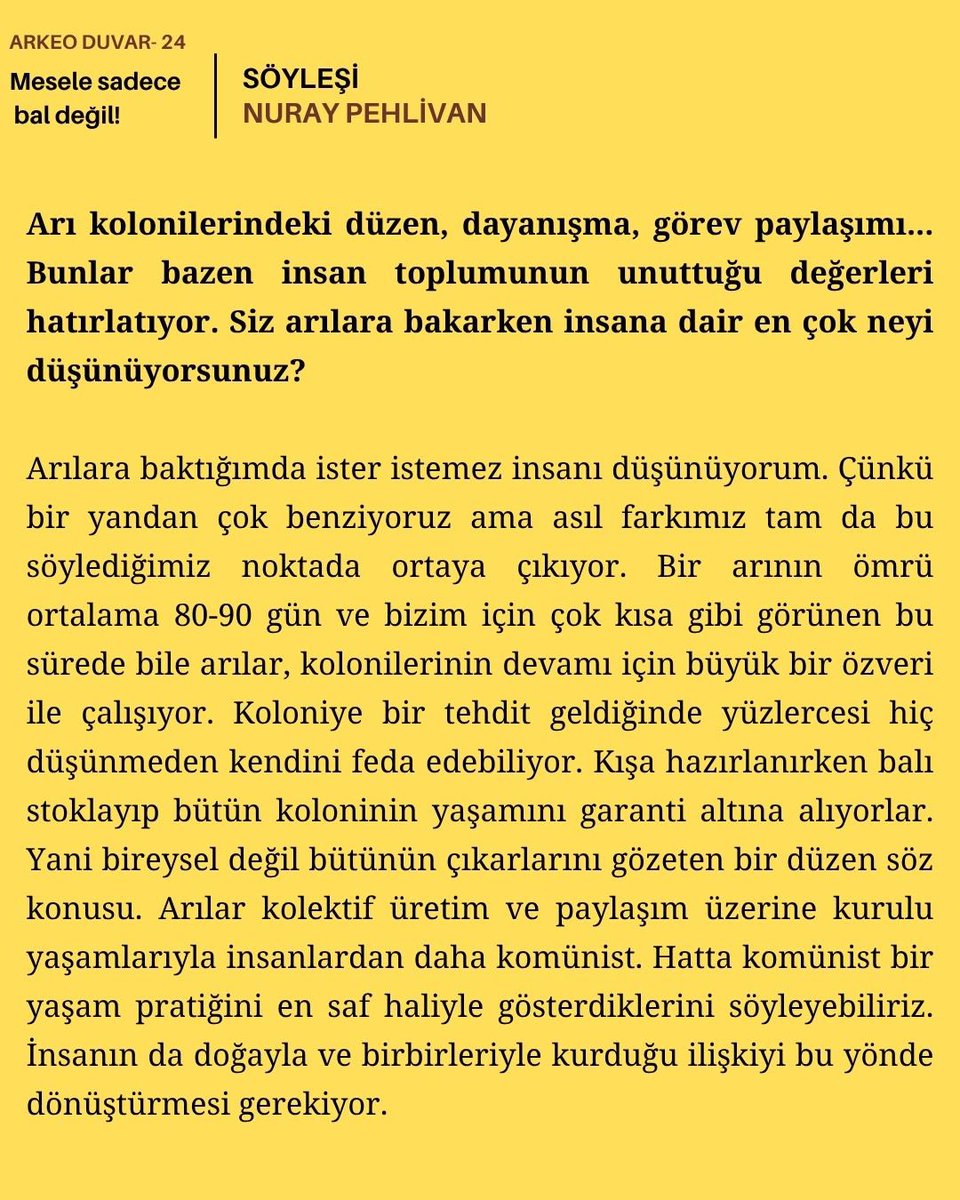 Arkeo Duvar tweet media