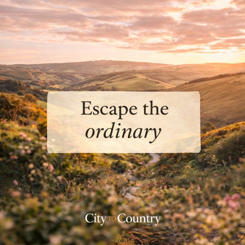 MichaelEdwarde's tweet photo. 🏡 Escape the hustle and discover something special.
We specialise in homes that offer more than just a place to live.
Call Michael on 07973146081 today or visit https://t.co/lWB15F2ZDN https://t.co/mNCNAAF5Pe