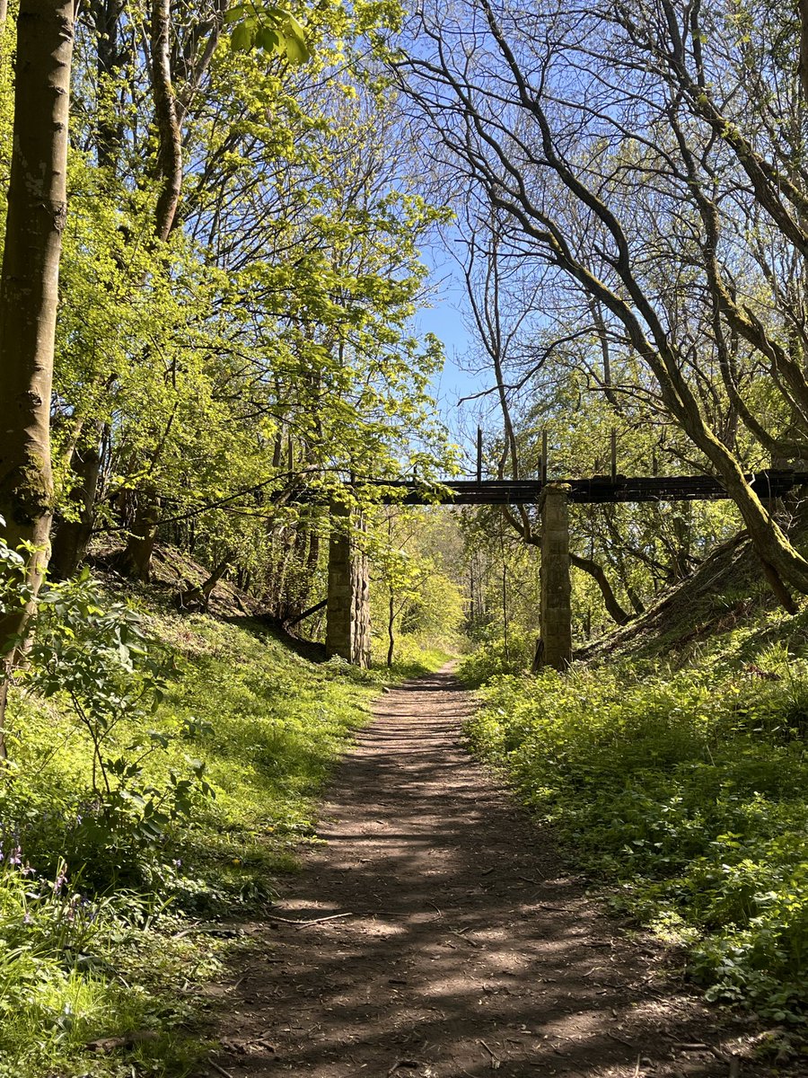 johnlaidler18's tweet photo. Walk along the old railway line with the dog, rothbury. Summer is slowly arriving https://t.co/fvKdeZeucQ