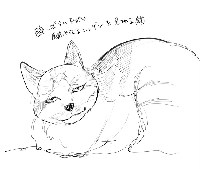 今まさに見られている。
いっぱいみてくれてありがとうね 