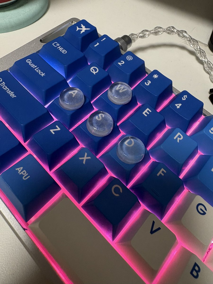 サチ@日本人 tweet media