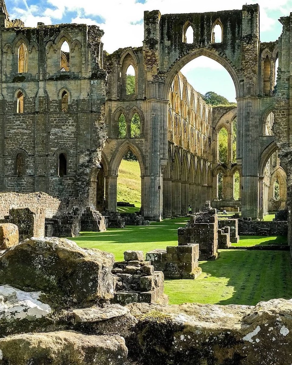 North Yorkshire tweet media