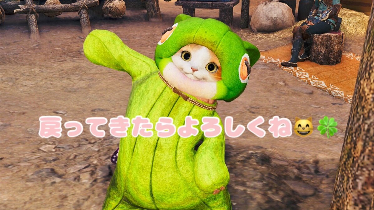 🐱みけち🐈@猫に踏まれる日々 tweet media