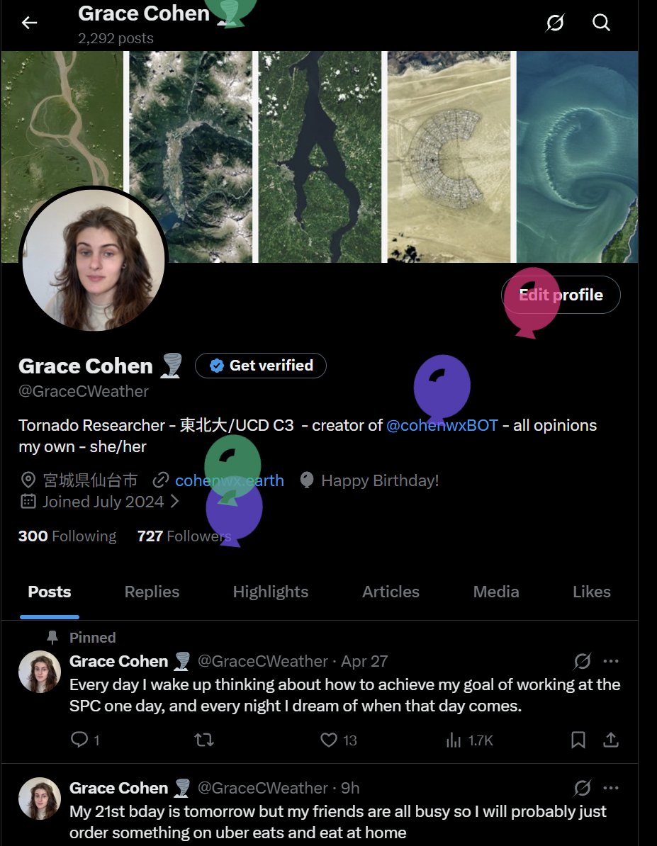 Grace Cohen 🌪️ tweet media