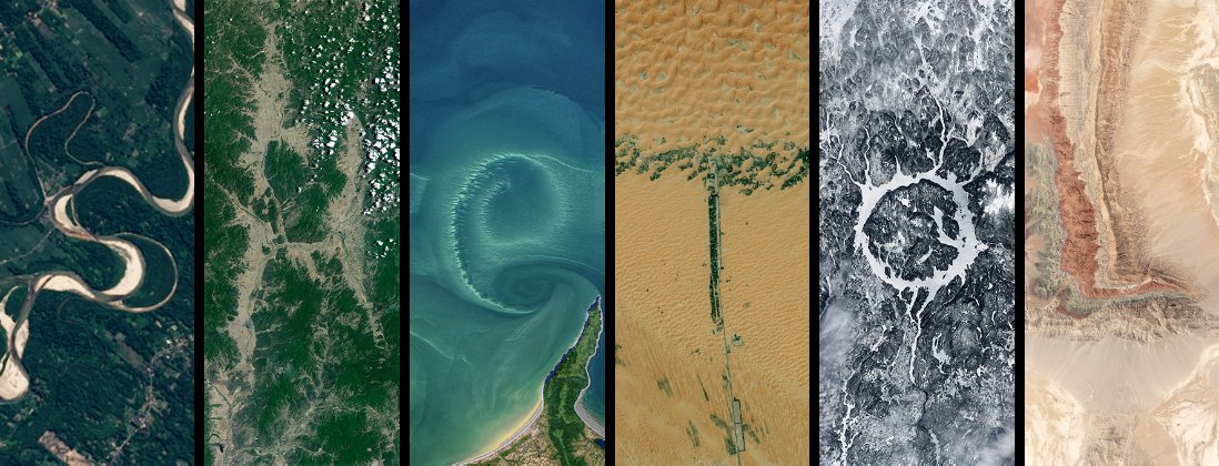 S h e t o L tweet media