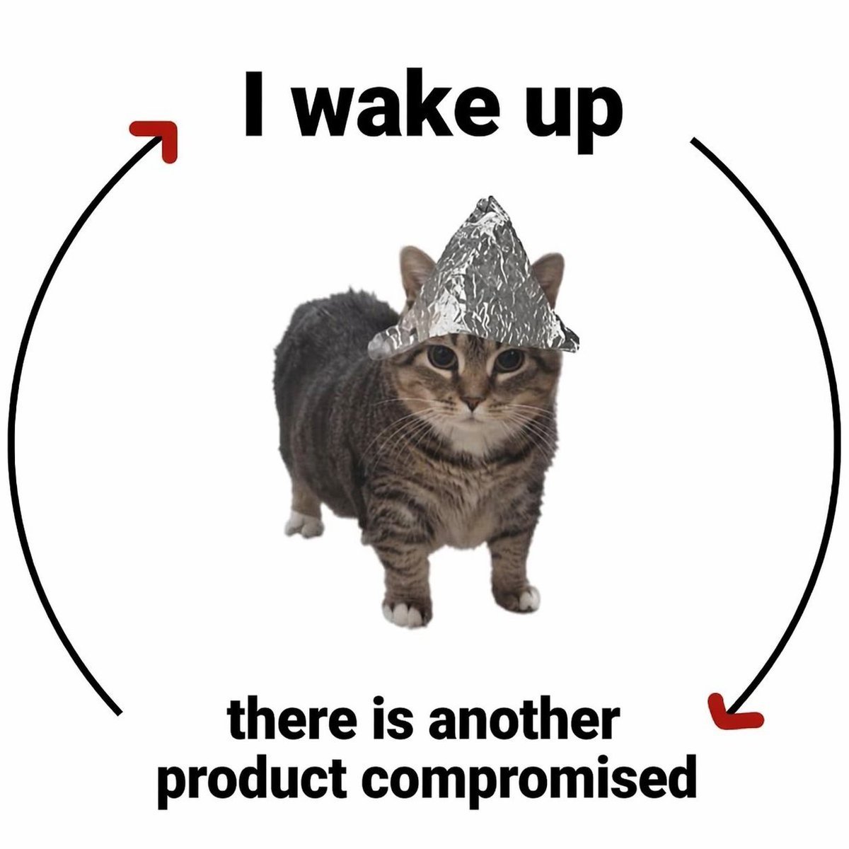 Jose Luis tweet media