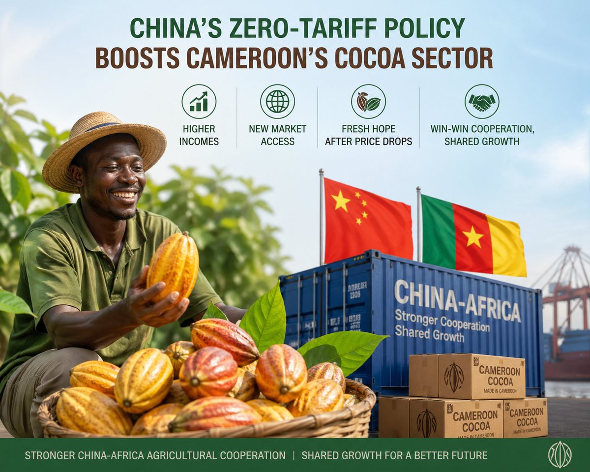 ChinatoAU's tweet image. #China’s zero-tariff policy for #African exports is set to boost Cameroon’s cocoa sector, offering farmers higher incomes, new market access, and fresh hope after price drops. A win-win step toward stronger China-Africa agricultural cooperation and shared growth.