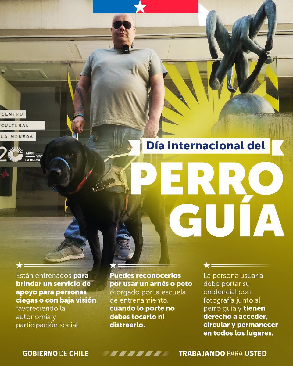 Senadis Chile tweet media