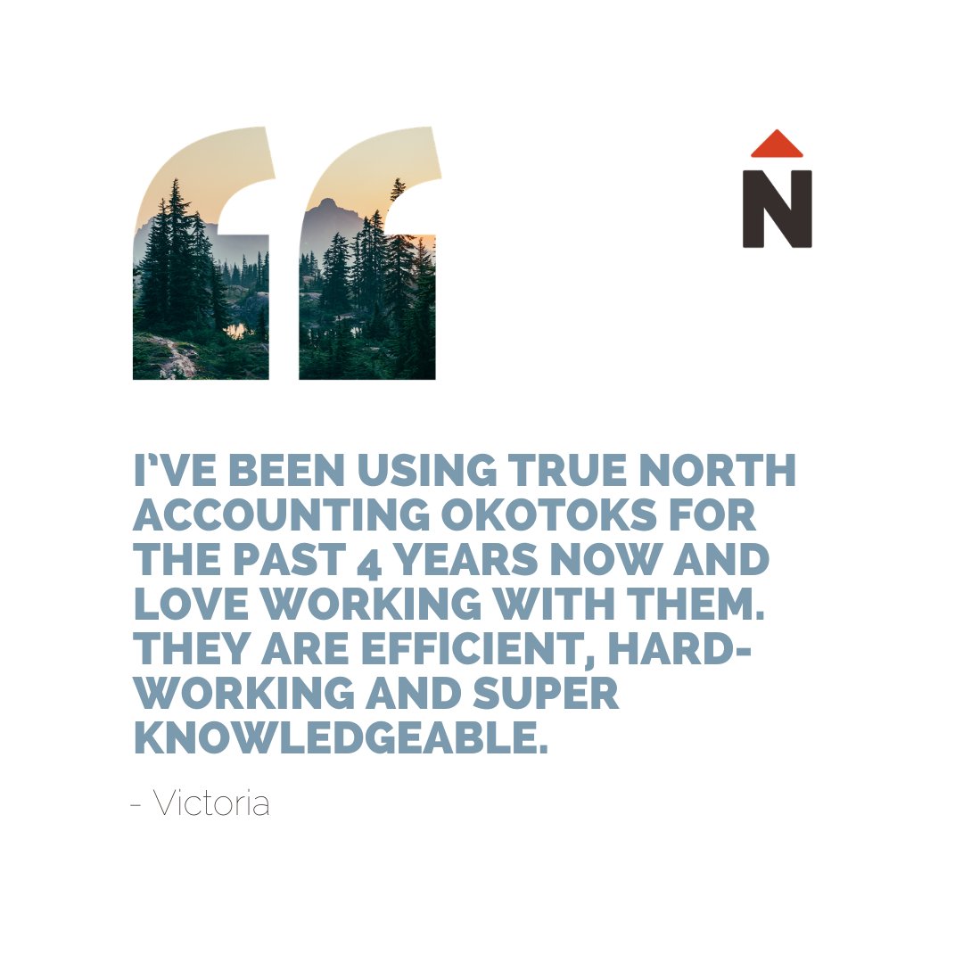 True North Accounting tweet media