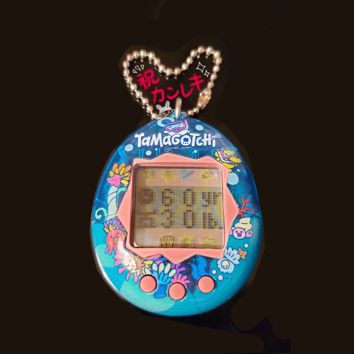 ちょこちょこ止めながら遊んでるんだけど、みみっちちゃんが還暦を迎えました🐰🎊

おやすや～🐏💤