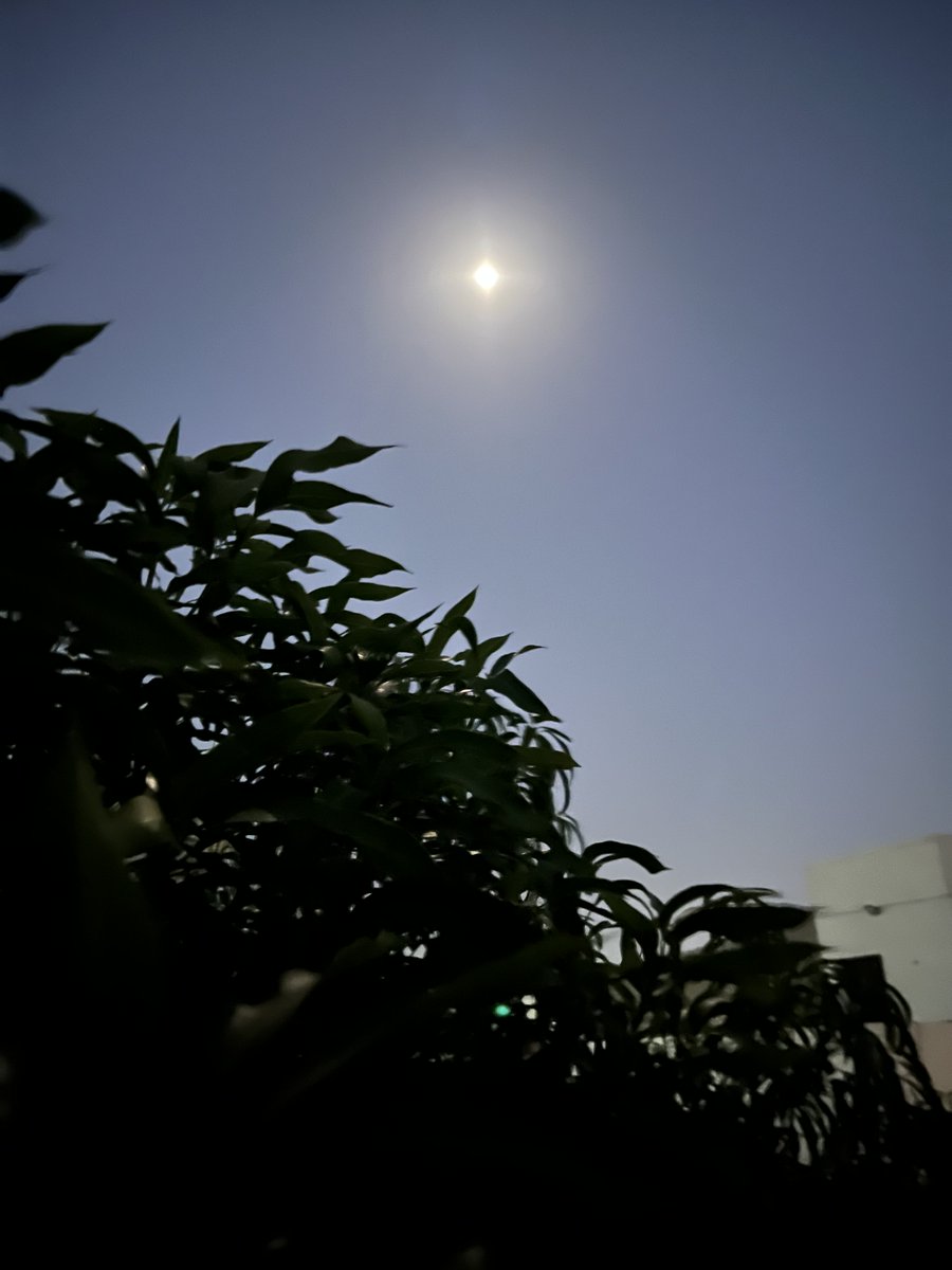 prachiniki's tweet image. #moon