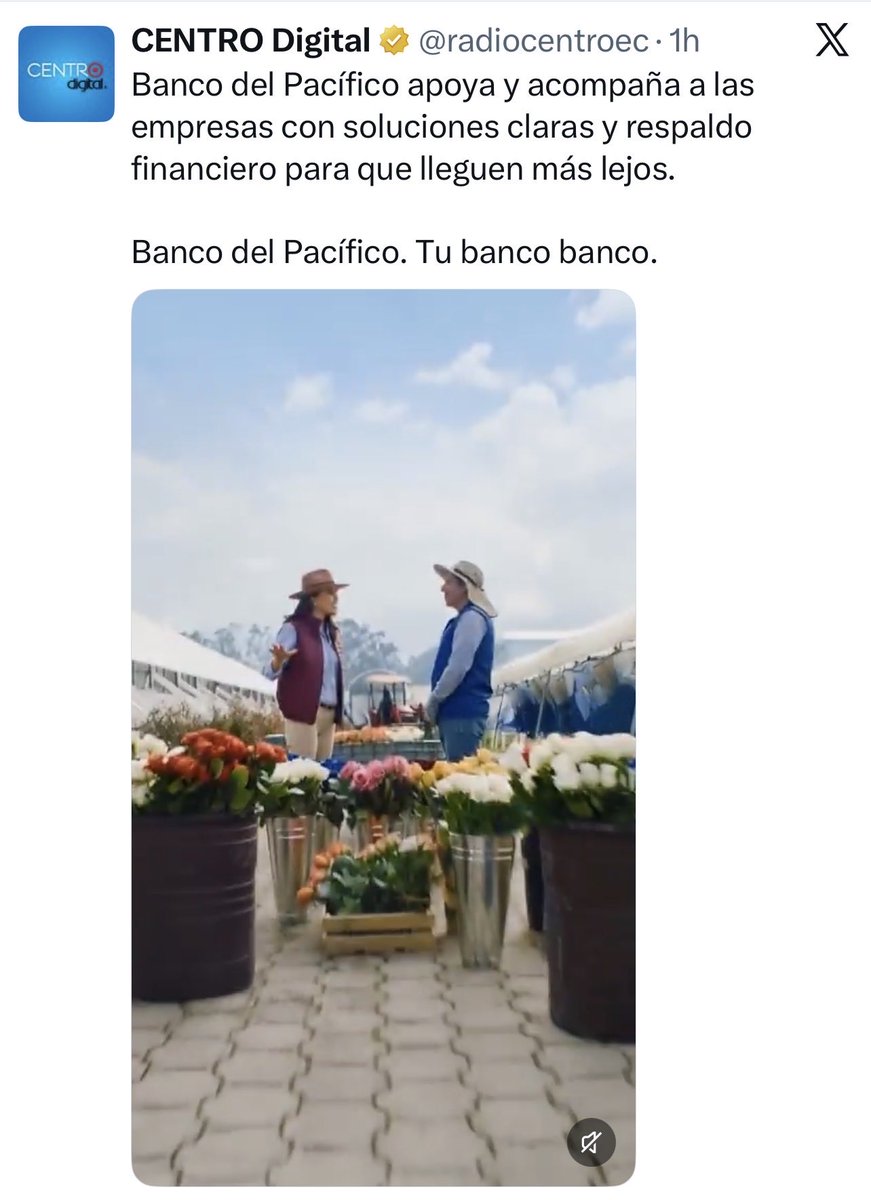 VCRNoticias tweet media