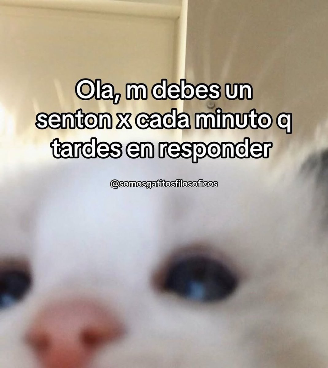 MundoDeBigotes's tweet photo. https://t.co/HDBpWxKbF4
