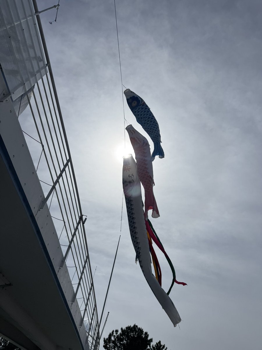 ruyc1973's tweet photo. 【5/10.17.24.31 練習体験会のお知らせ】

立正大学ヨット部です⛵️
上記の日程で練習体験会を行います！
リピートの方はもちろん、新規の新入生も大歓迎です🙆‍♀️
ビシバシドシドシご応募DMからお待ちしています！

 #ビシバシ  #ドシドシ  #待ってます  #ヨット部  #きてねー https://t.co/IdmAVssWVC