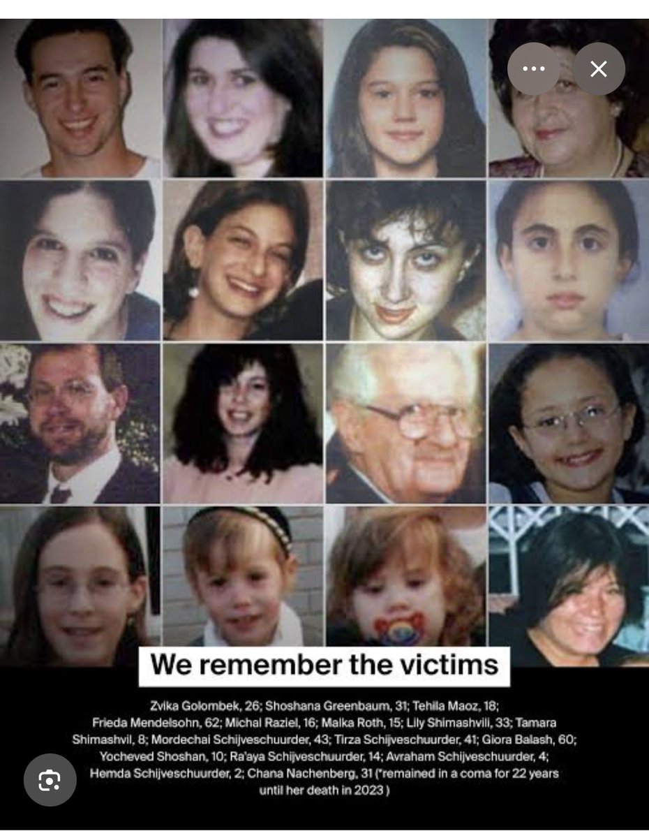 shilo ben zeev tweet media