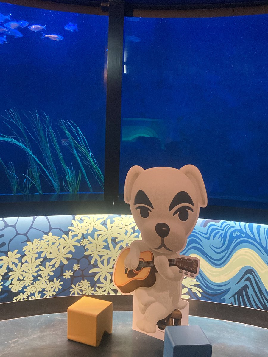 ヤマネコᗢ tweet media