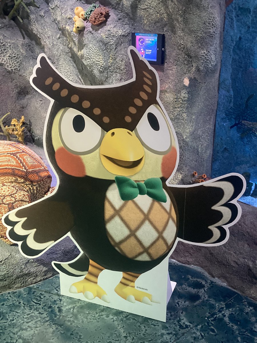 ヤマネコᗢ tweet media