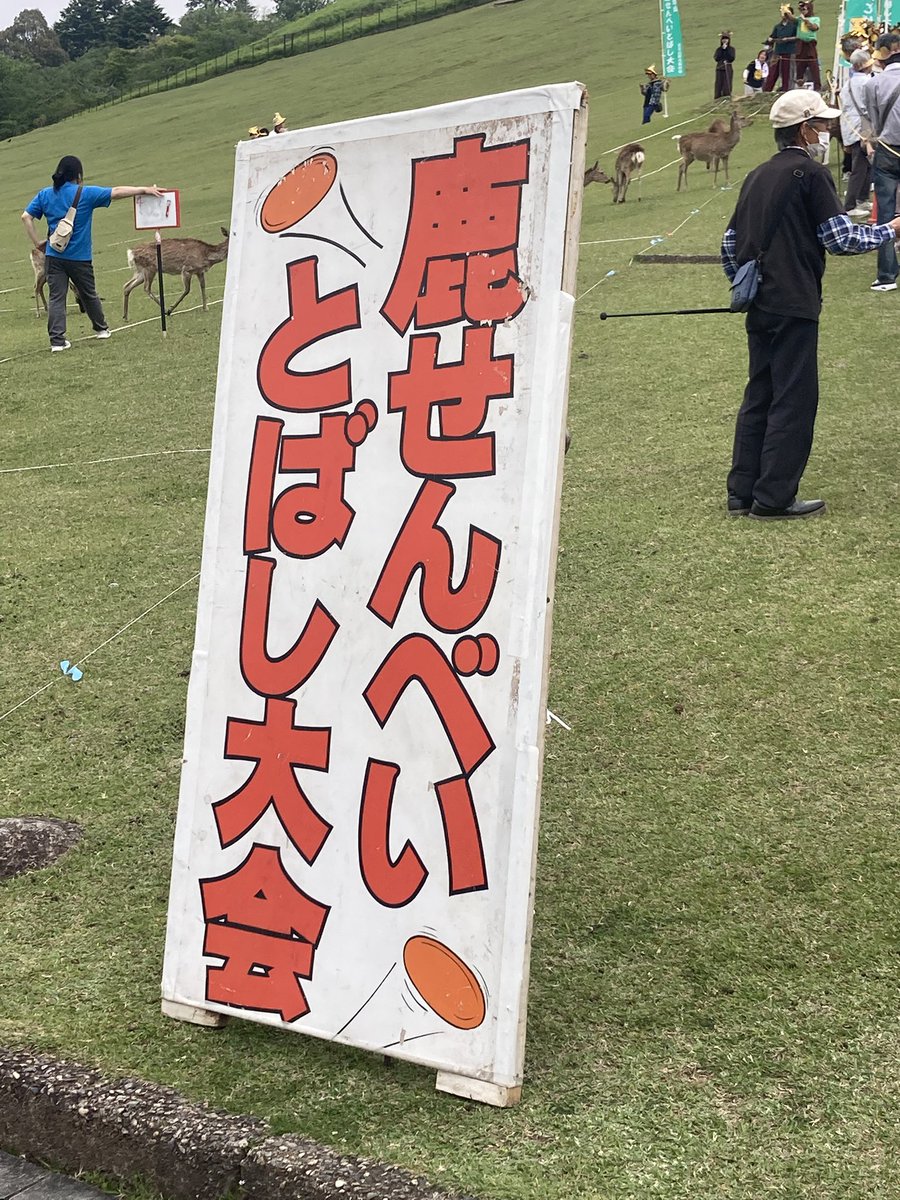 ヤマネコᗢ tweet media