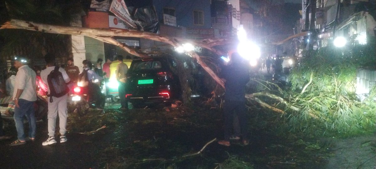 Melvin_Mercom's tweet photo. @BbmpchdTeam Tree branch fell near Ramaiah College, Mathikere side. https://t.co/tEkwHrGAHv