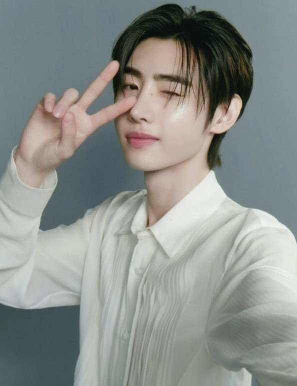 iceanddeer🦌❄ tweet media