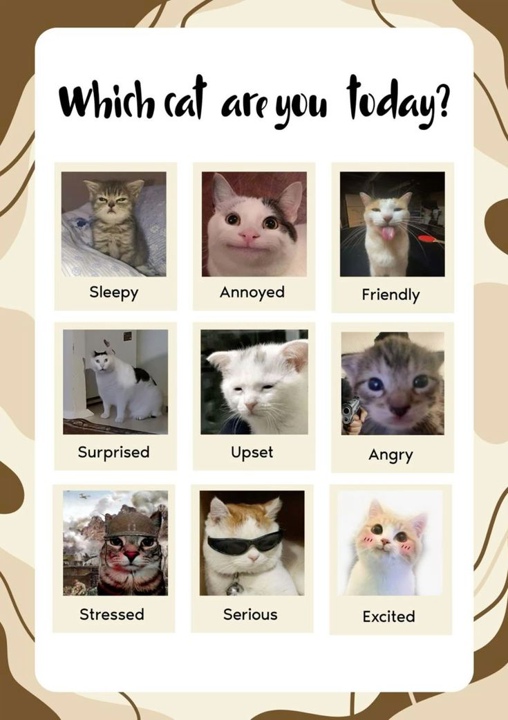 ebrar ENHYPEN IS 7 tweet media